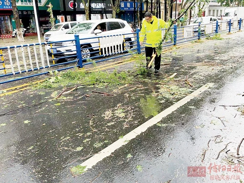 清理路面上的树枝（市交警支队供图）.jpg