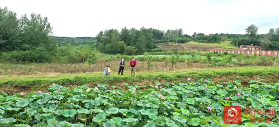 北湖2.jpg