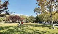 我市全力开展城市公园绿地开放共享试点工作