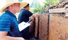 信阳市第三次全国土壤普查剖面样调查取样