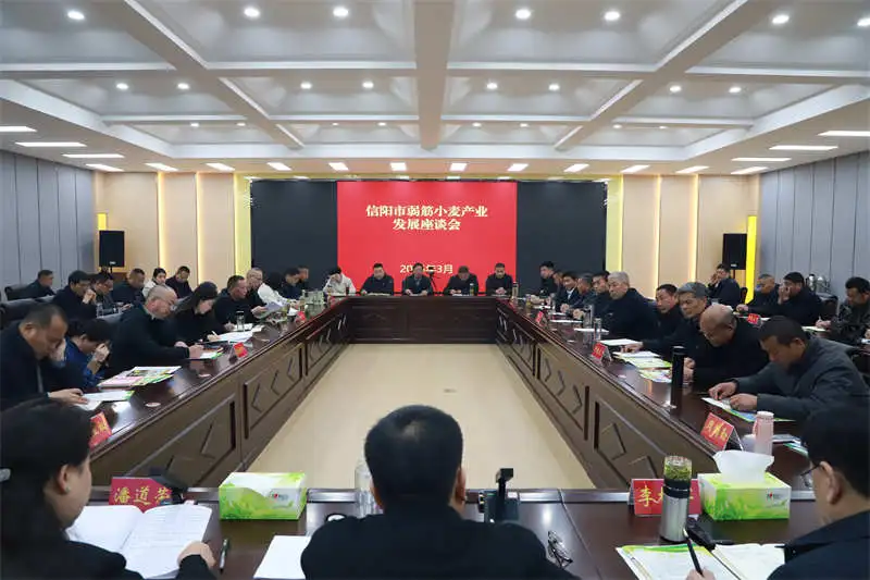 弱筋1.jpg