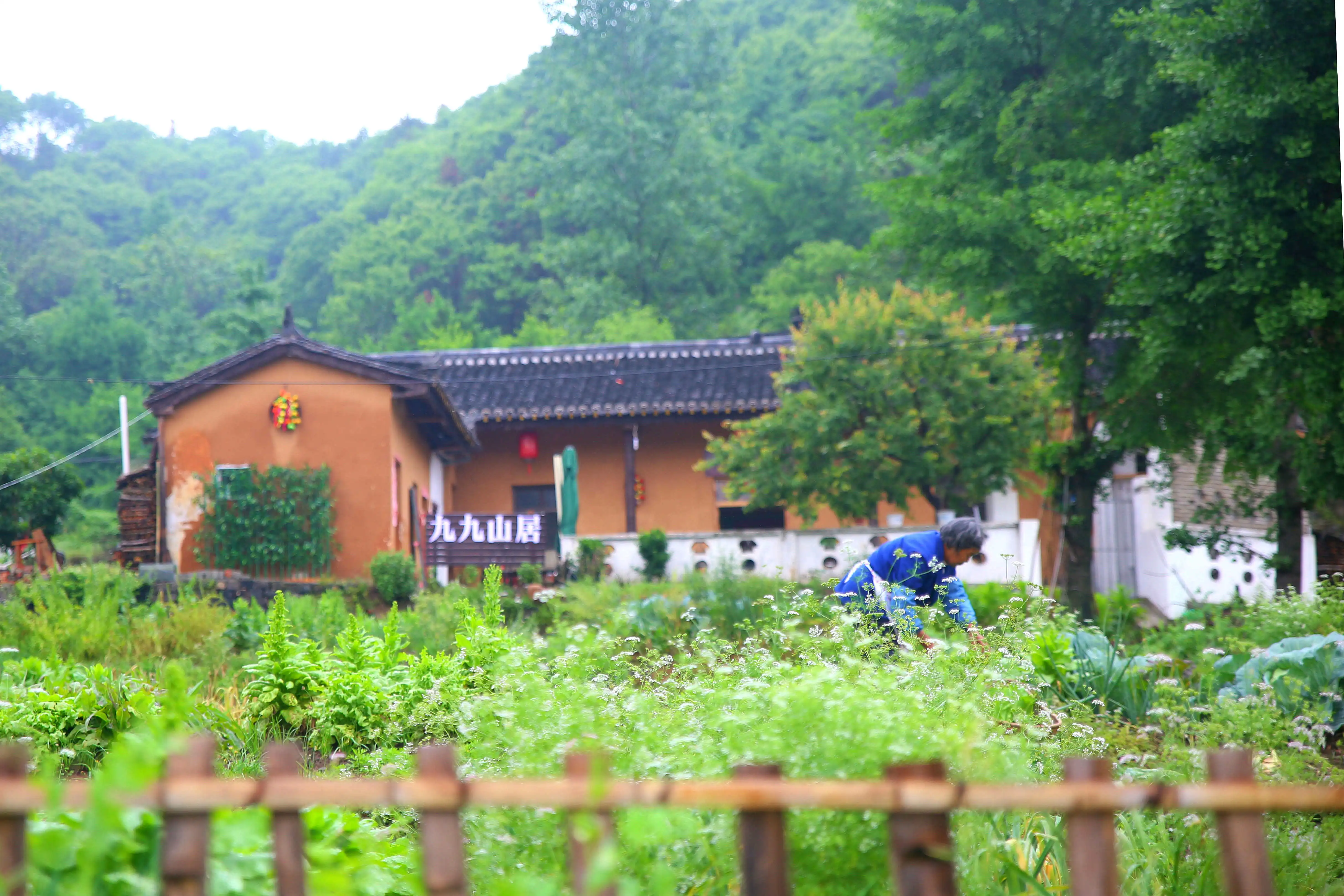 统一3.jpg