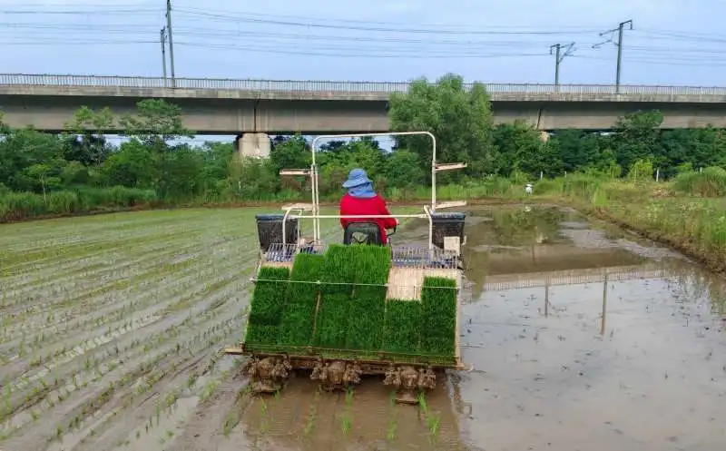 节1.jpg