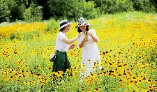 金色花海醉游人！​信阳郝堂村蛇母菊盛放