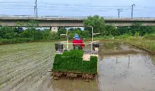 节肥又增产，咱就这么着！​市农技中心举行水